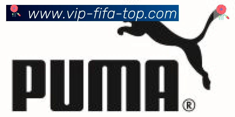 FIFA世界杯买球入口合作伙伴