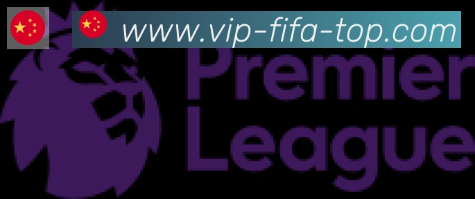 FIFA世界杯买球入口合作伙伴
